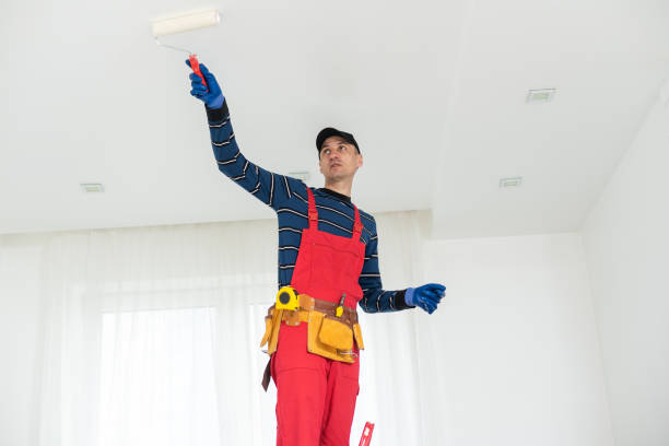 Best Attic Mold Removal  in Parkers Prairie, MN